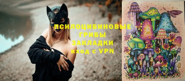 ГАЛЛЮЦИНОГЕННЫЕ ГРИБЫ Абинск