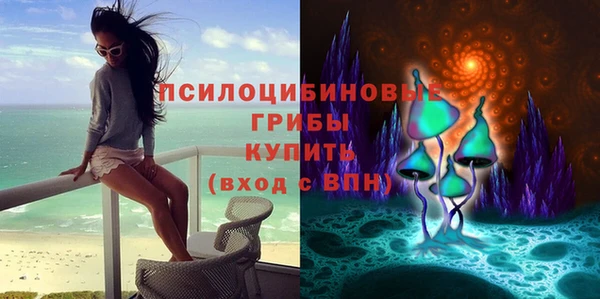 ГАЛЛЮЦИНОГЕННЫЕ ГРИБЫ Абинск