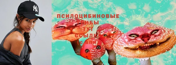 прущая мука Абаза
