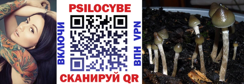 Псилоцибиновые грибы Magic Shrooms  Дивногорск 